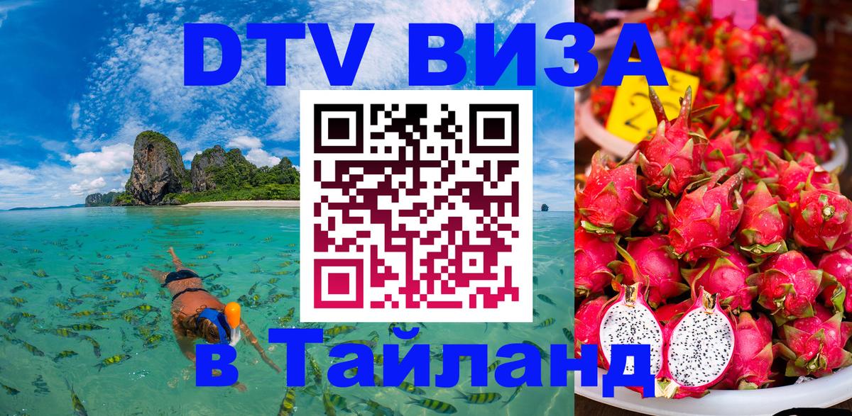 Сколько стоит DTV виза — актуальные цены, оформление даже без документов - 20.11.2025 